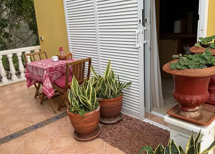 Tenerife Sur * アデヘ